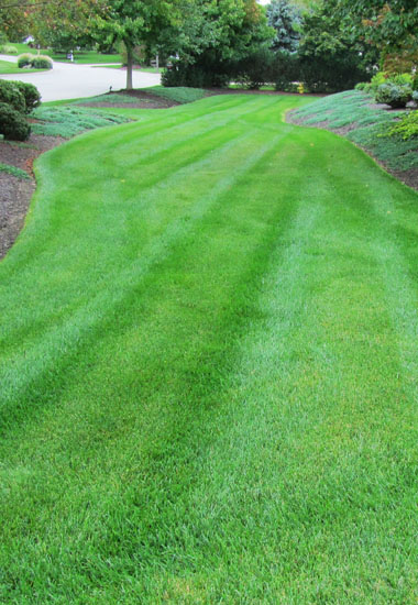 Lawn Mowing overview new