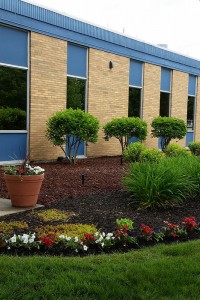 Commercial Landscapes