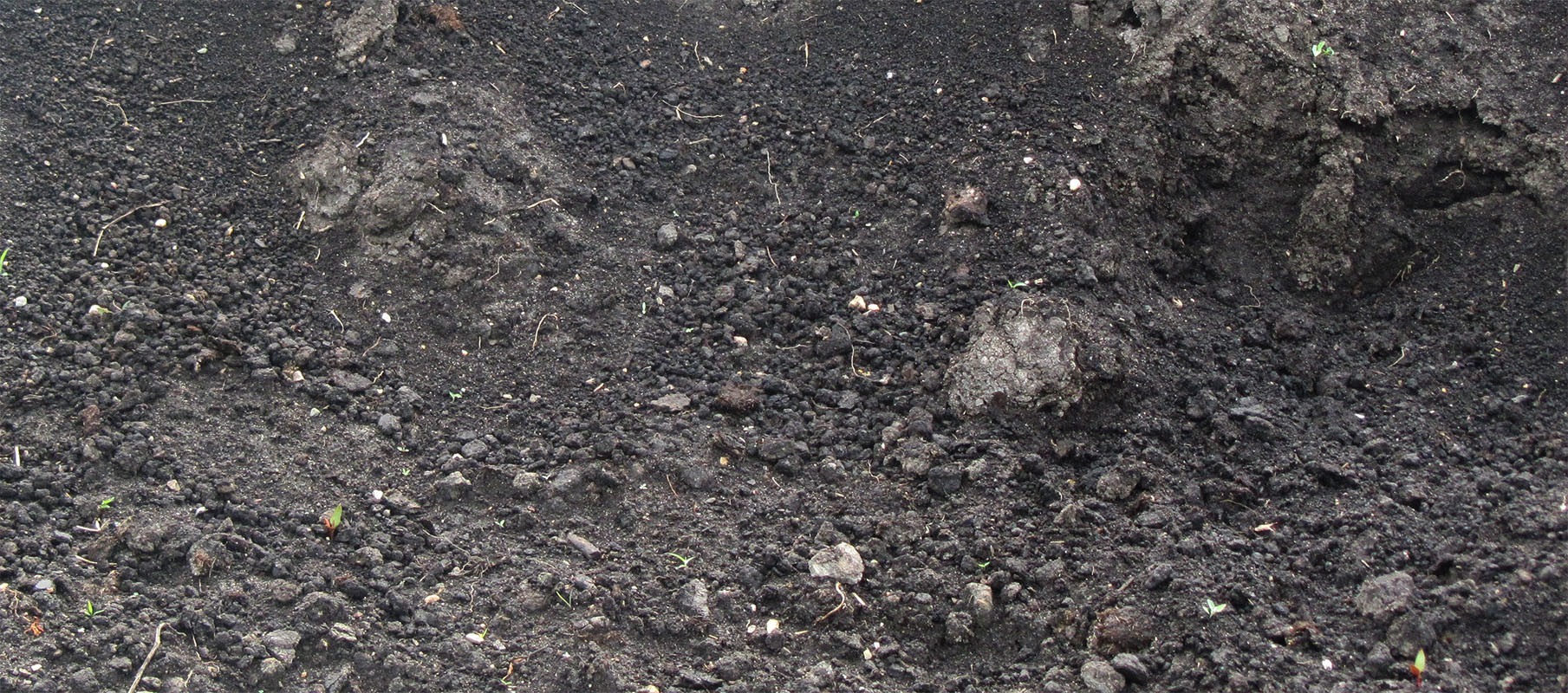 Krintz Lawn Care | Battle Ground, IN