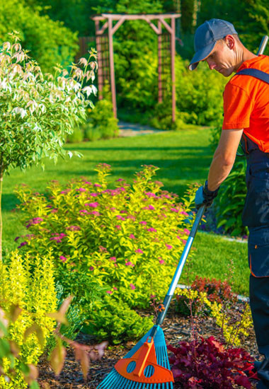 Seasonal Care - 42085492